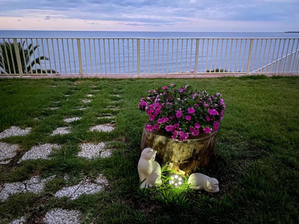 Villa Vela Augusta Exteriér fotografie